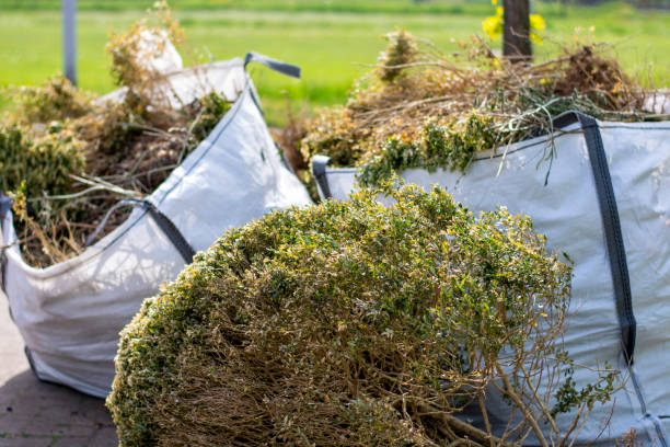 Best Dumpster Rental Services  in Fennimore, WI